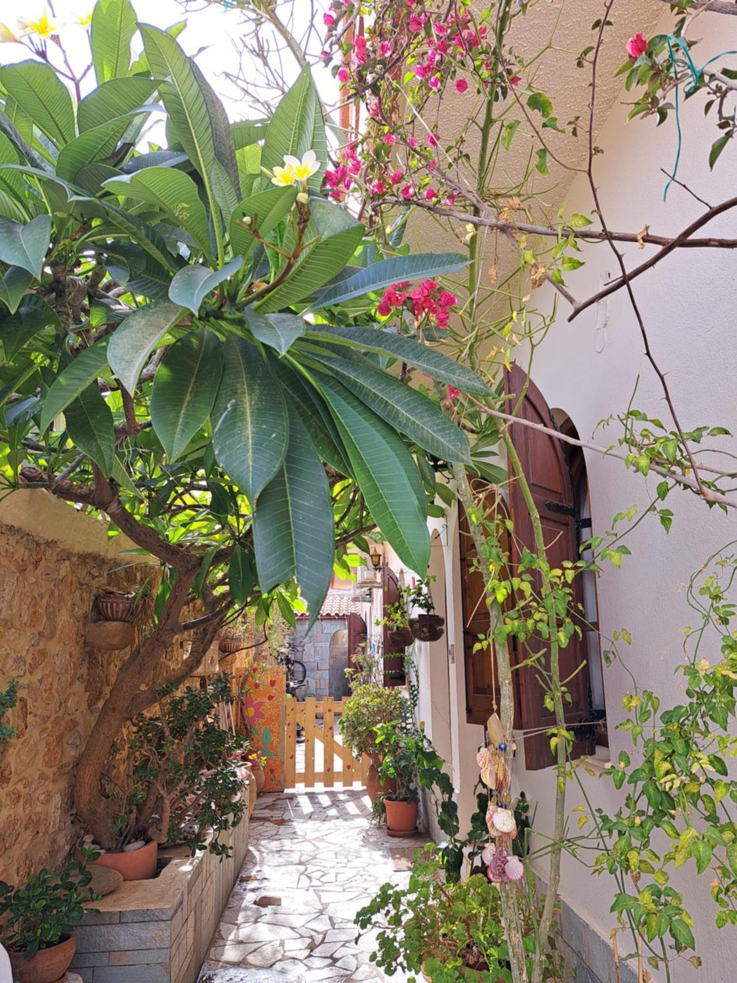 Stella Apartments Malia Buitenkant foto